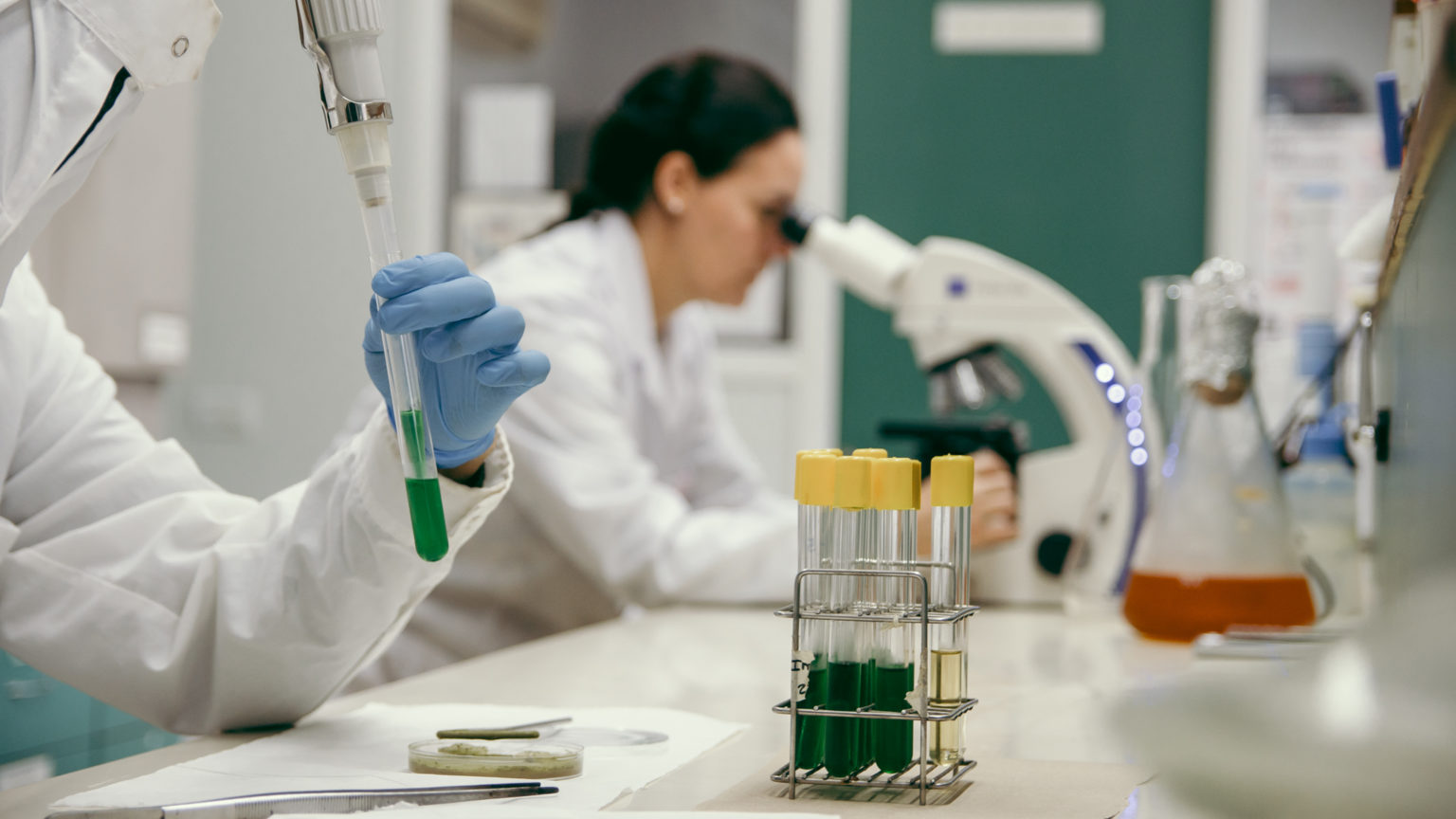 Doctorado En Ciencias Agropecuarias Facultad De Ciencias