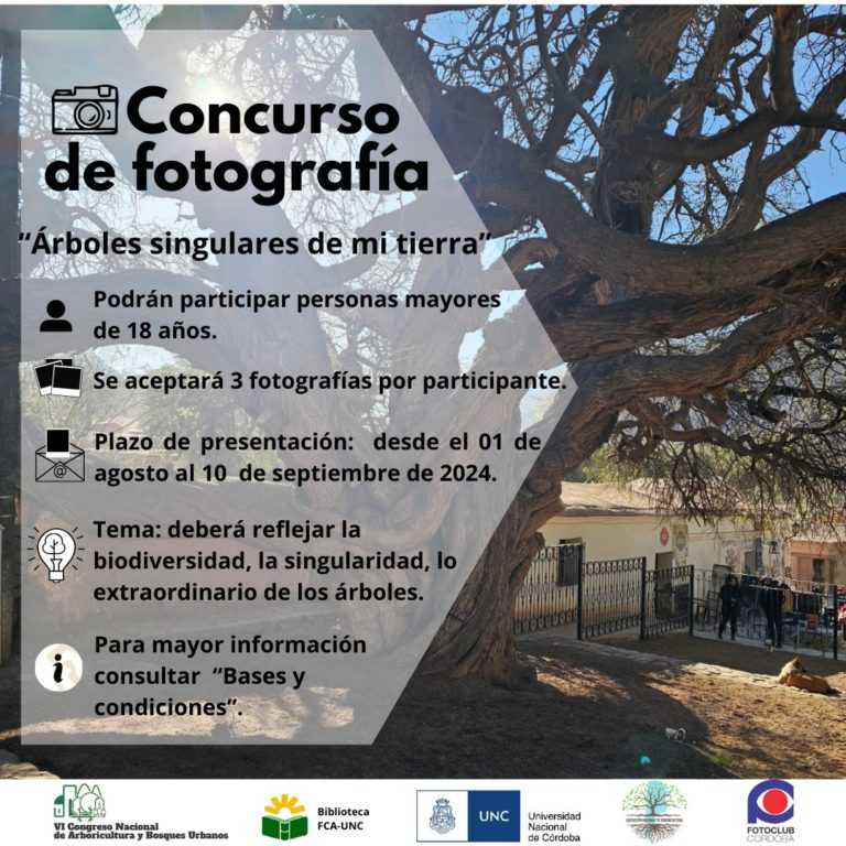 Concurso de fotografía “Árboles singulares de mi tierra”