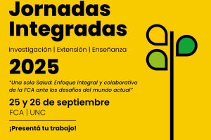 XI-Jornadas-Integradas-de-Investigacion-Extension-y-Ensenanza-WEB