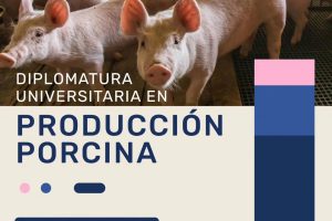 Diplomatura Universitaria en Producción Porcina web